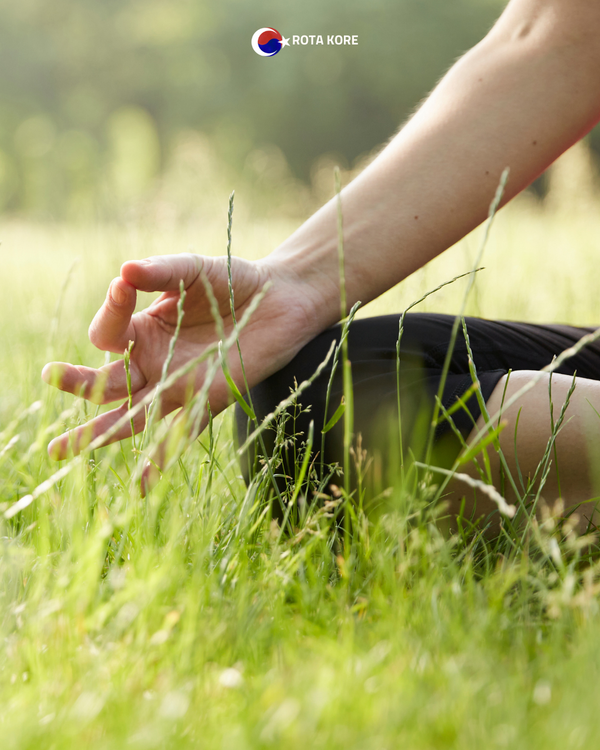 Nehir Manzaralı Yoga ve Doğa Turu – Namyangju & Yangpyeong