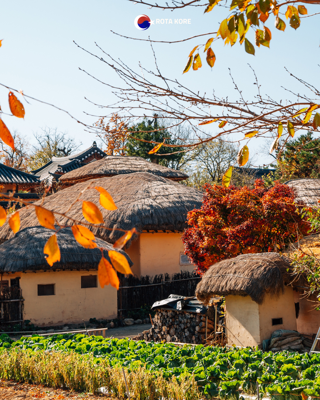 Joseon Dönemine Zaman Yolculuğu – Suwon & Kore Halk Köyü