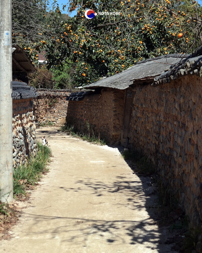 Joseon Dönemine Zaman Yolculuğu – Suwon & Kore Halk Köyü