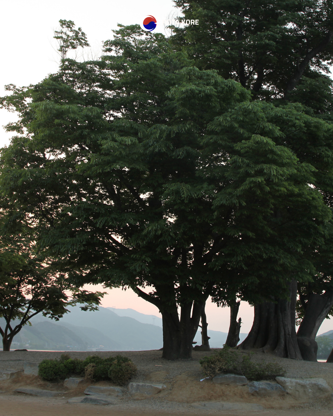 Nehir Manzaralı Yoga ve Doğa Turu – Namyangju & Yangpyeong