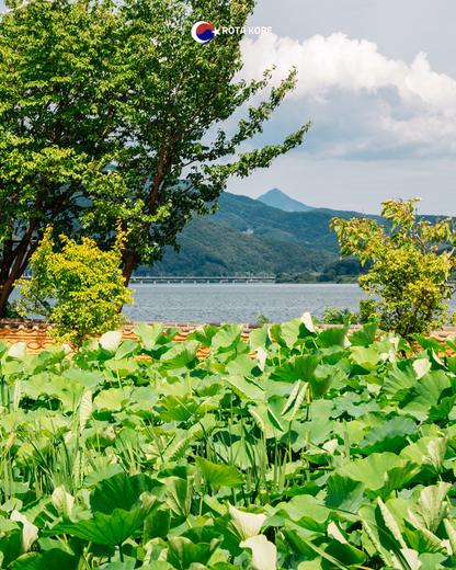 Nehir Manzaralı Yoga ve Doğa Turu – Namyangju & Yangpyeong