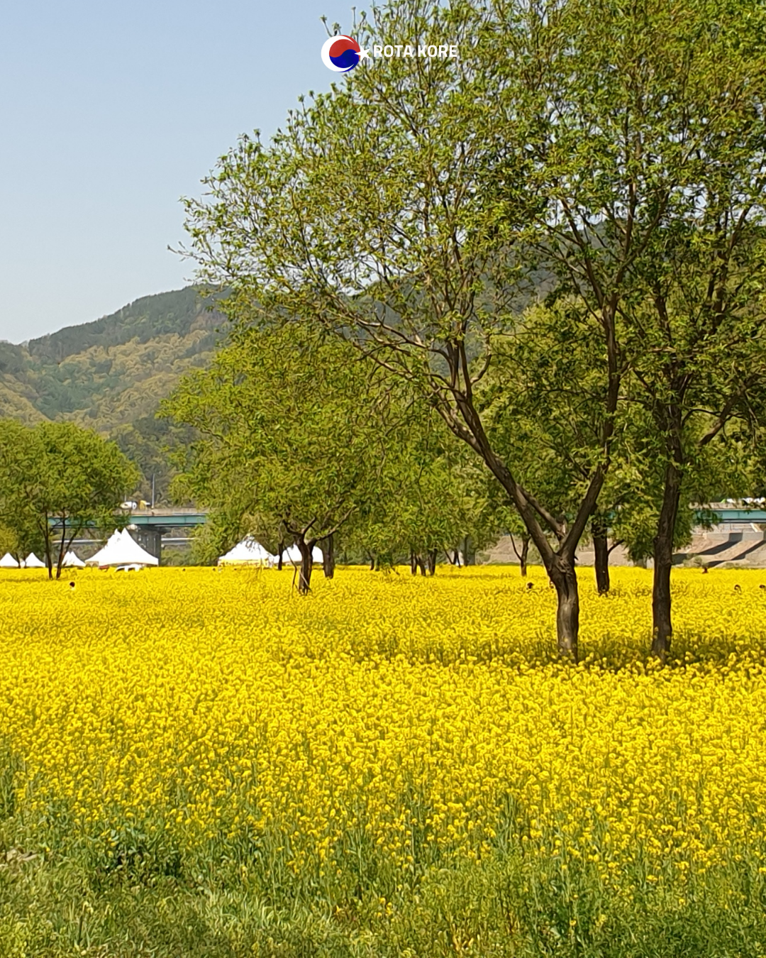 Nehir Manzaralı Yoga ve Doğa Turu – Namyangju & Yangpyeong