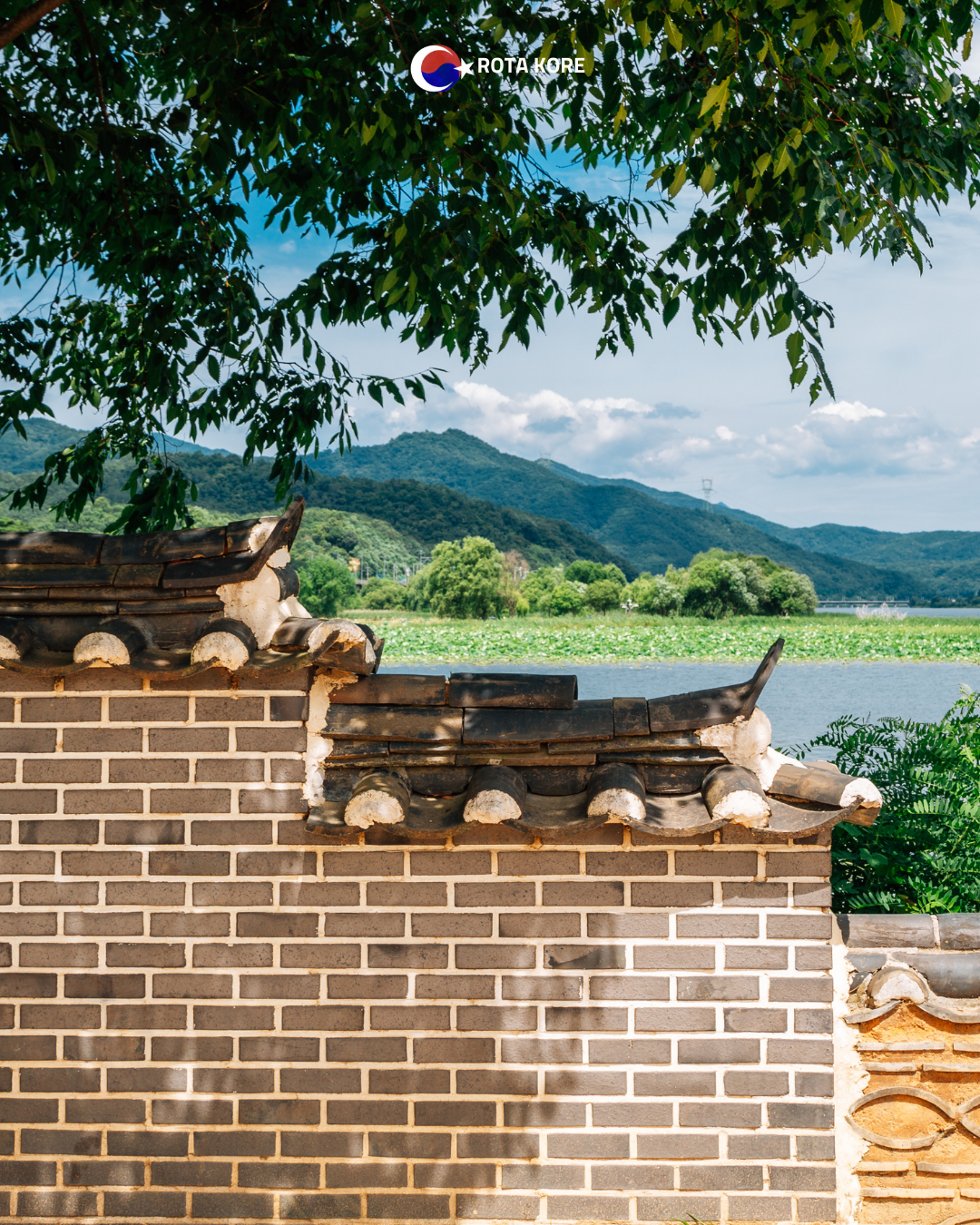 Nehir Manzaralı Yoga ve Doğa Turu – Namyangju & Yangpyeong