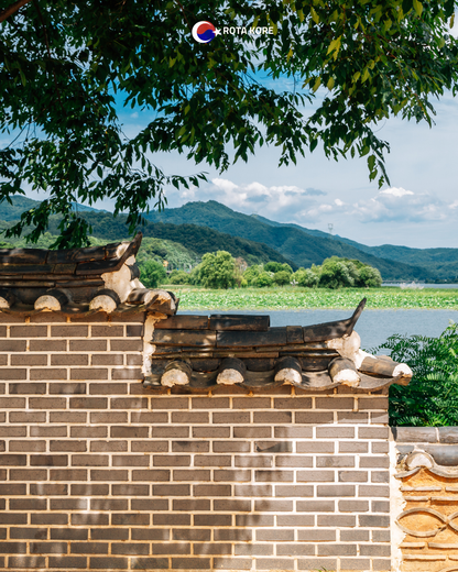 Nehir Manzaralı Yoga ve Doğa Turu – Namyangju & Yangpyeong