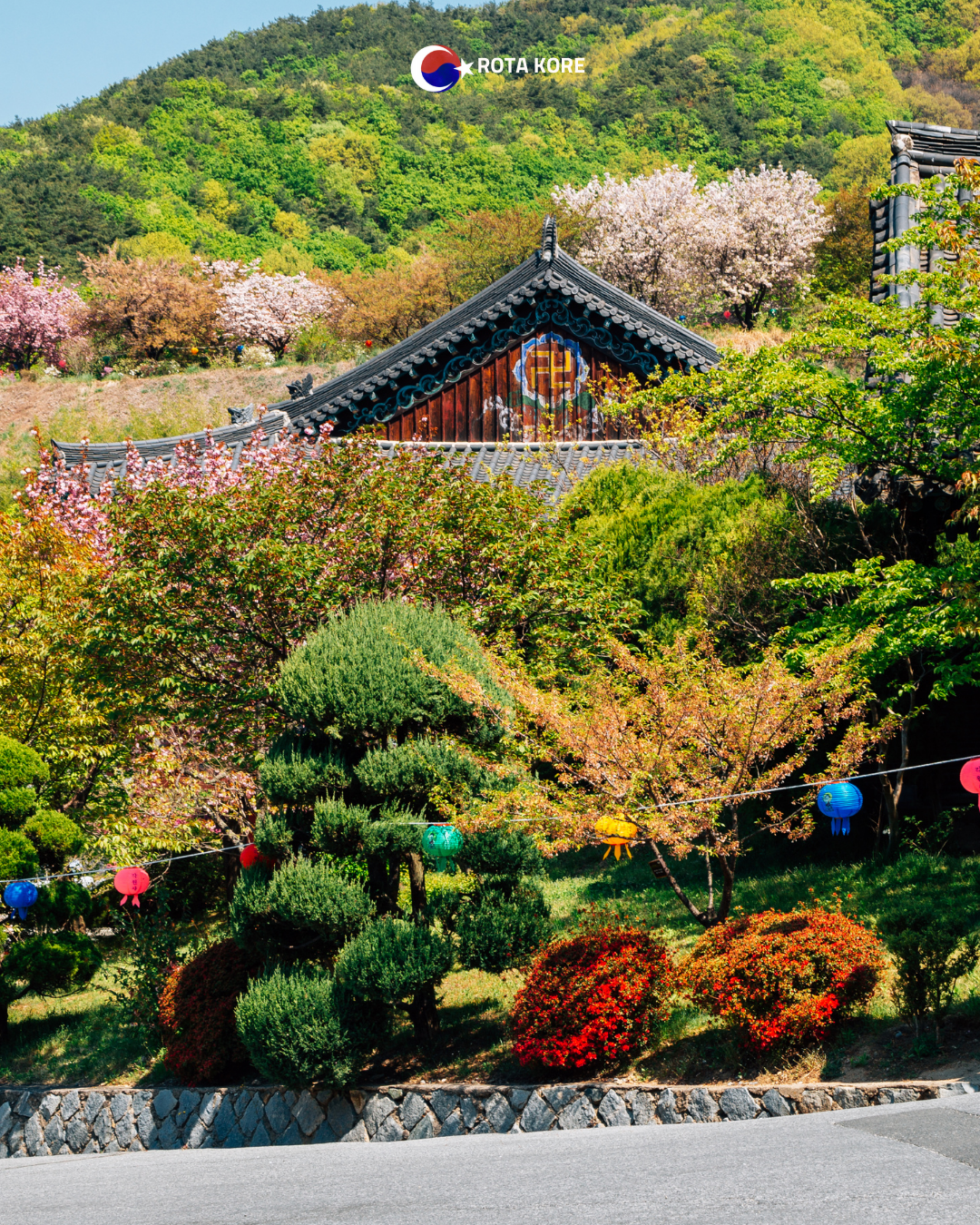 Nehir Manzaralı Yoga ve Doğa Turu – Namyangju & Yangpyeong