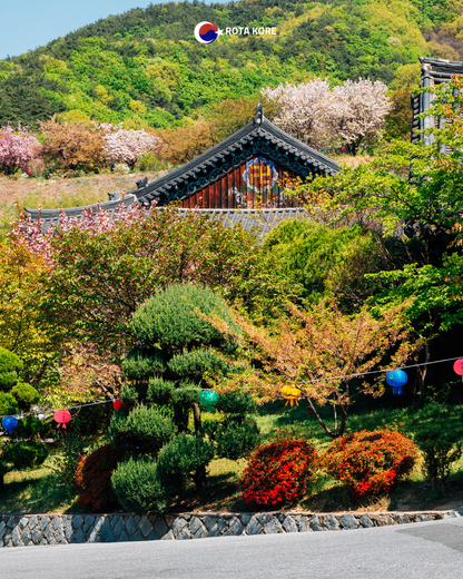 Nehir Manzaralı Yoga ve Doğa Turu – Namyangju & Yangpyeong