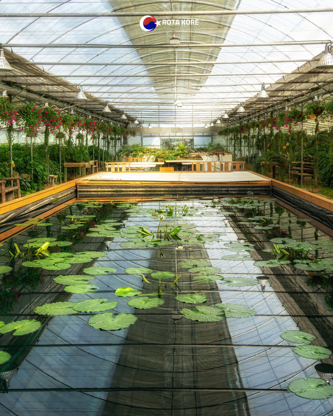 Nehir Manzaralı Yoga ve Doğa Turu – Namyangju & Yangpyeong