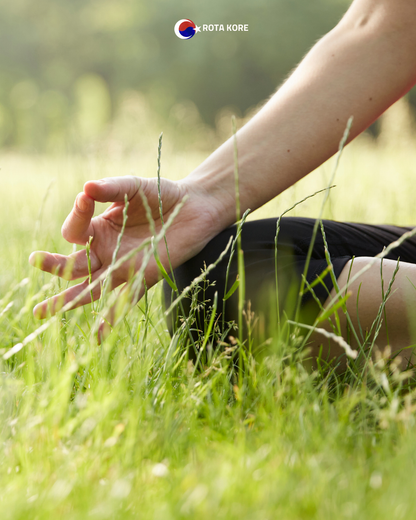 Nehir Manzaralı Yoga ve Doğa Turu – Namyangju & Yangpyeong