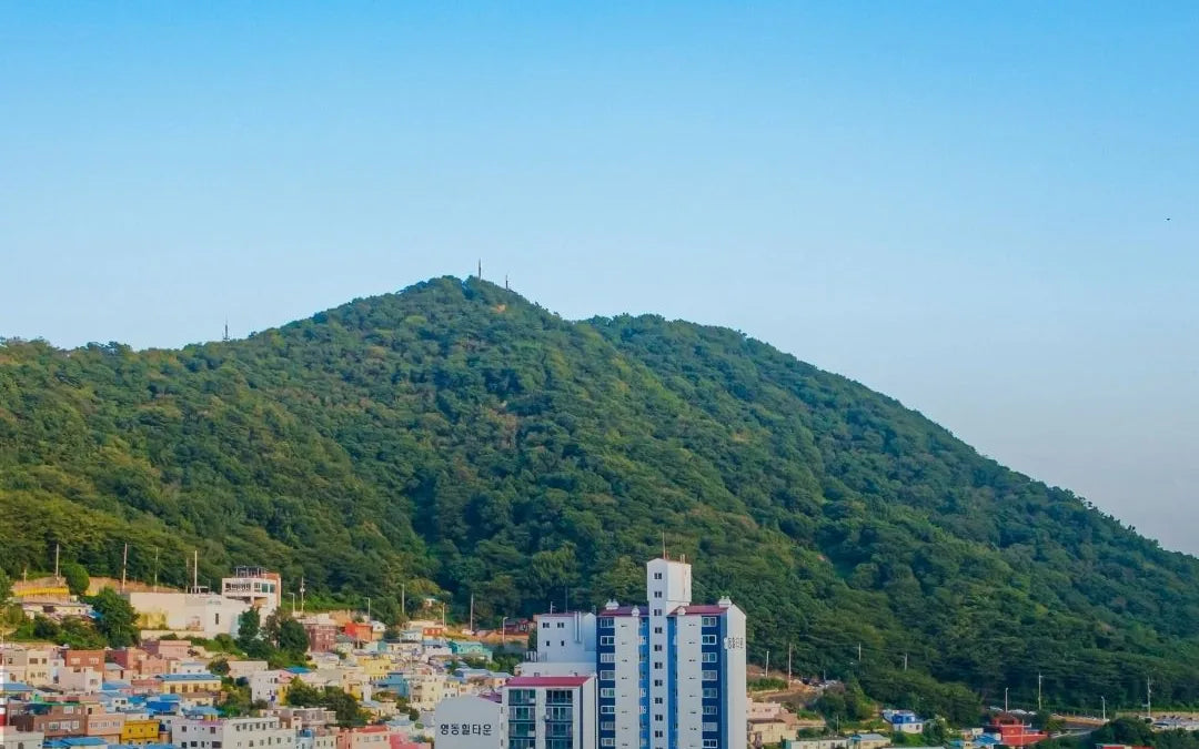 9 Gün 8 Gece – Seul & Busan Deneyim Turu